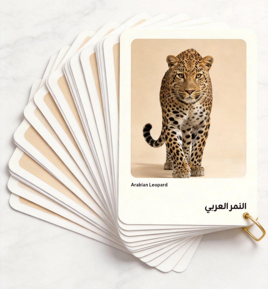 بطاقات حيوانات الصحراء للأطفال | PDF