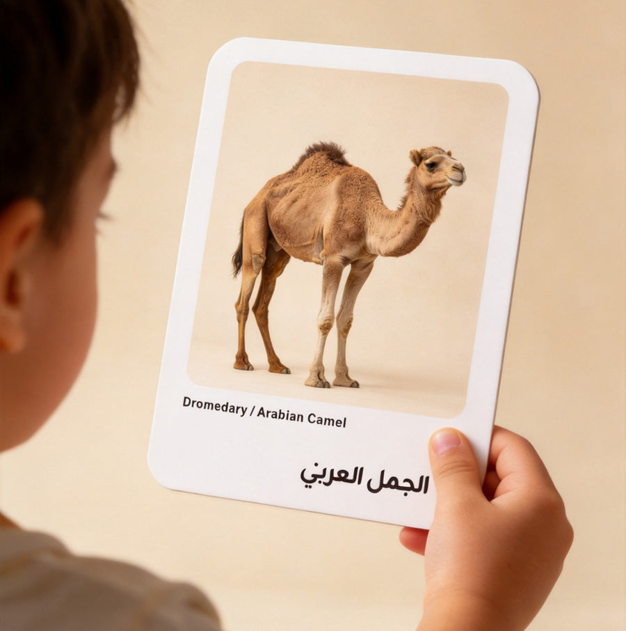 بطاقات حيوانات الصحراء للأطفال | PDF