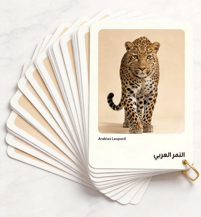 بطاقات حيوانات الصحراء للأطفال | PDF